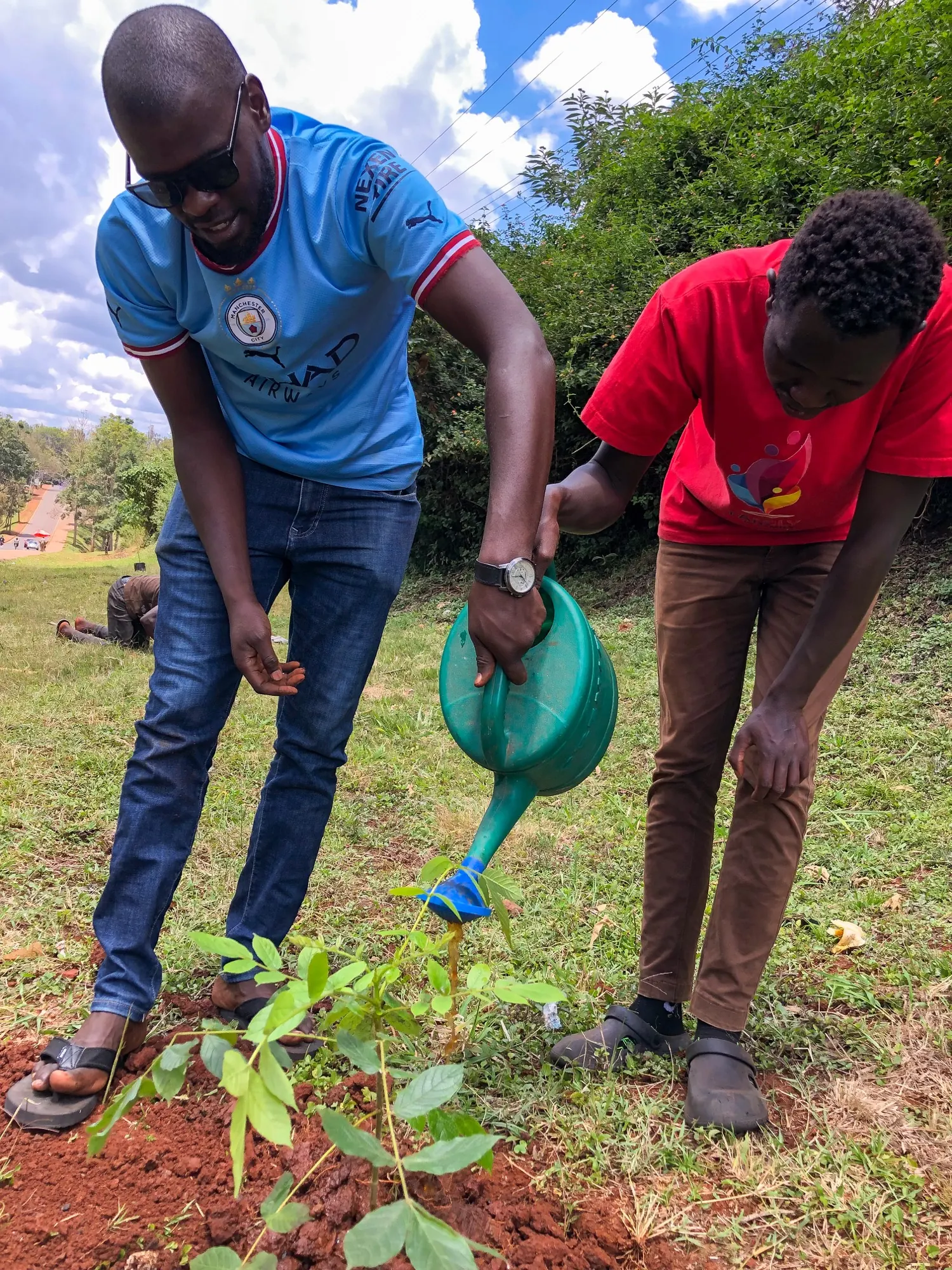 Tree Planting Initiatives